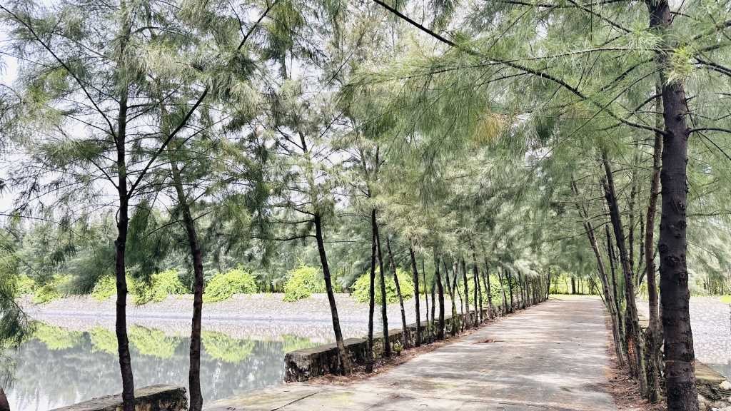 Quảng Ninh: Hướng tới nền kinh tế xanh bền vững Quảng Ninh: Hướng tới nền kinh tế xanh bền vững