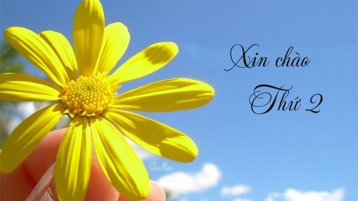 3 con giáp sự nghiệp tăng tiến, tài lộc đến dồn dập trong ngày thứ Hai 17/6