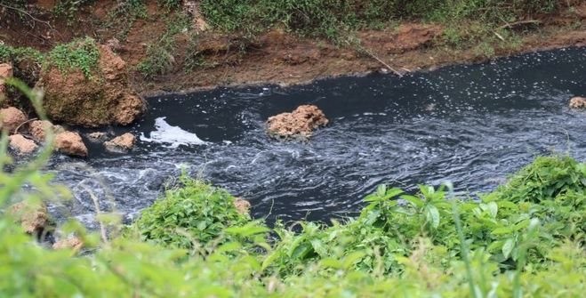 Bình Phước: Đã tìm ra nguyên nhân khiến nước Suối Tân ô nhiễm, bốc mùi hôi thối Bình Phước: Đã tìm ra nguyên nhân khiến nước Suối Tân ô nhiễm, bốc mùi hôi thối