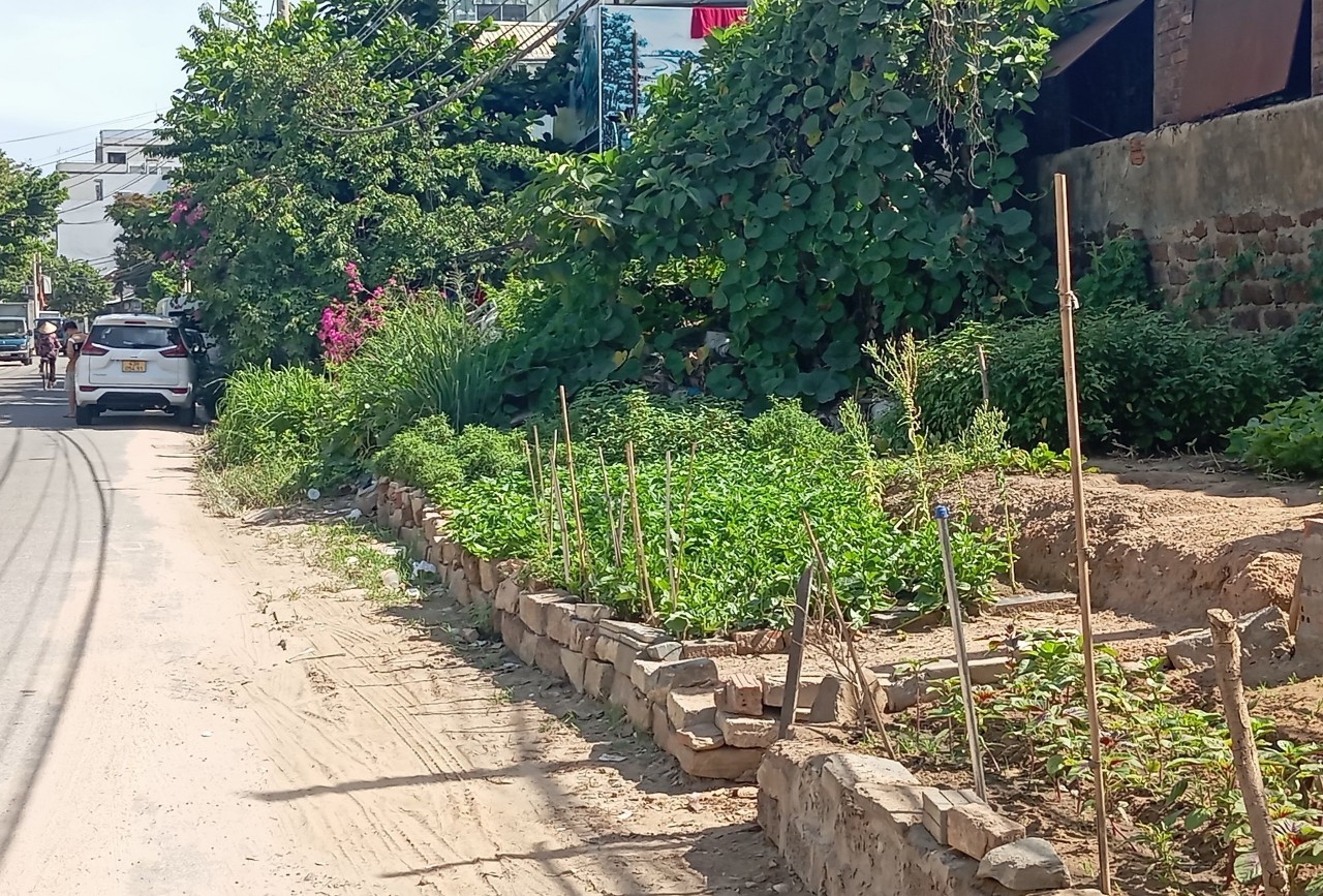 Cảnh nhếch nhác, ô nhiễm giữa lòng thành phố Đà Nẵng Cảnh nhếch nhác, ô nhiễm giữa lòng thành phố Đà Nẵng