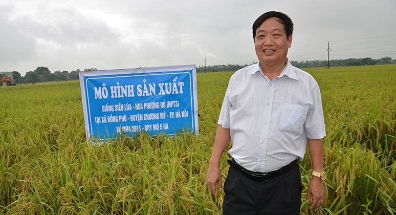 Giảm phát thải khí nhà kính trong trồng lúa - Bài 1: Xu thế và cơ hội