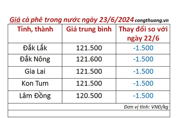 Giá cà phê hôm nay 23/6/2024: Giá cà phê quay đầu giảm mạnh