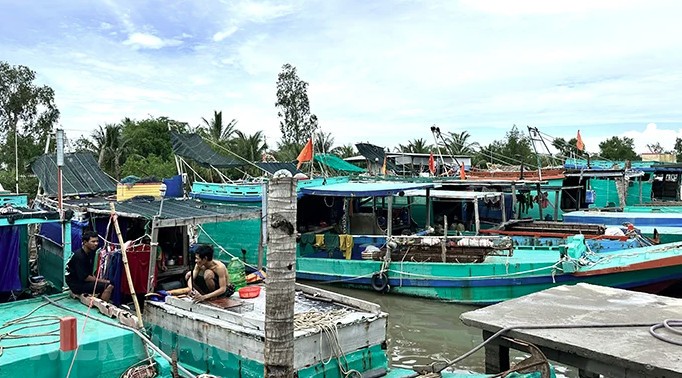 Kiên Giang siết chặt quản lý tàu cá “3 không” Kiên Giang siết chặt quản lý tàu cá “3 không”