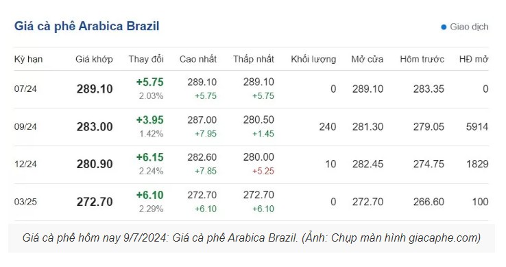 Giá cà phê hôm nay 9/7/2024: Giá cà phê đồng loạt tăng