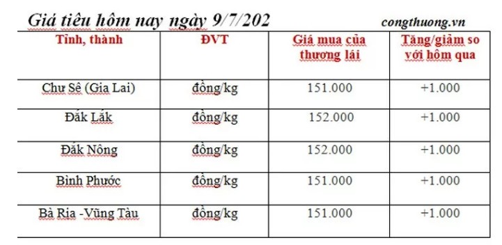 Giá tiêu hôm nay 9/7/2024: Đà tăng chưa thấy dừng, Tây Nguyên cao nhất Giá tiêu hôm nay 9/7/2024: Đà tăng chưa thấy dừng, Tây Nguyên cao nhất
