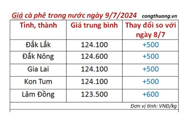 Giá cà phê hôm nay 9/7/2024: Giá cà phê đồng loạt tăng