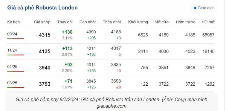 Giá cà phê hôm nay 9/7/2024: Giá cà phê đồng loạt tăng