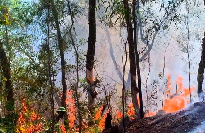 Nghệ An: Cảnh báo cháy rừng ở cấp cực kỳ nguy hiểm Nghệ An: Cảnh báo cháy rừng ở cấp cực kỳ nguy hiểm