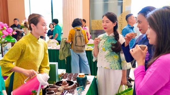 Bảo tồn và phát huy chuỗi giá trị từ hoa sen