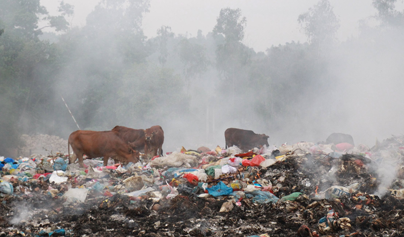 Thiệt hại do ô nhiễm, suy thoái môi trường được xác định thế nào? Thiệt hại do ô nhiễm, suy thoái môi trường được xác định thế nào?