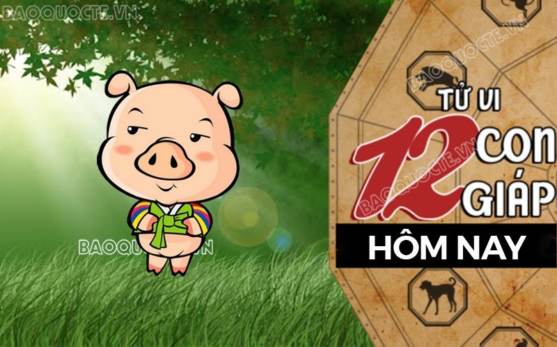 Tử vi hôm nay, xem tử vi 12 con giáp hôm nay ngày 30/7/2024: Tuổi Hợi tài chính ổn định Tử vi hôm nay, xem tử vi 12 con giáp hôm nay ngày 30/7/2024: Tuổi Hợi tài chính ổn định