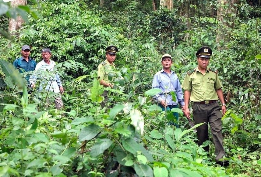 Nghệ An nâng cao hiệu quả triển khai chính sách chi trả dịch vụ môi trường rừng
