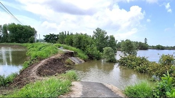Bạc Liêu: Tình trạng sạt lở, sụt lún nghiêm trọng ở mức báo động