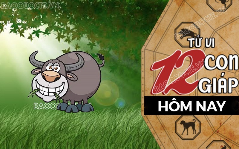 Tử vi hôm nay, xem tử vi 12 con giáp hôm nay ngày 11/8/2024: Tuổi Sửu tài lộc vững mạnh Tử vi hôm nay, xem tử vi 12 con giáp hôm nay ngày 11/8/2024: Tuổi Sửu tài lộc vững mạnh