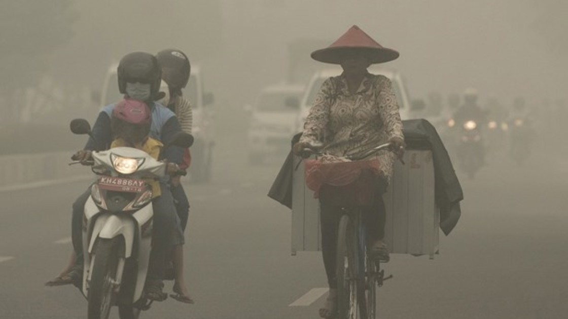 ASEAN: Hướng tới vùng đất than bùn không khói mù vào năm 2030