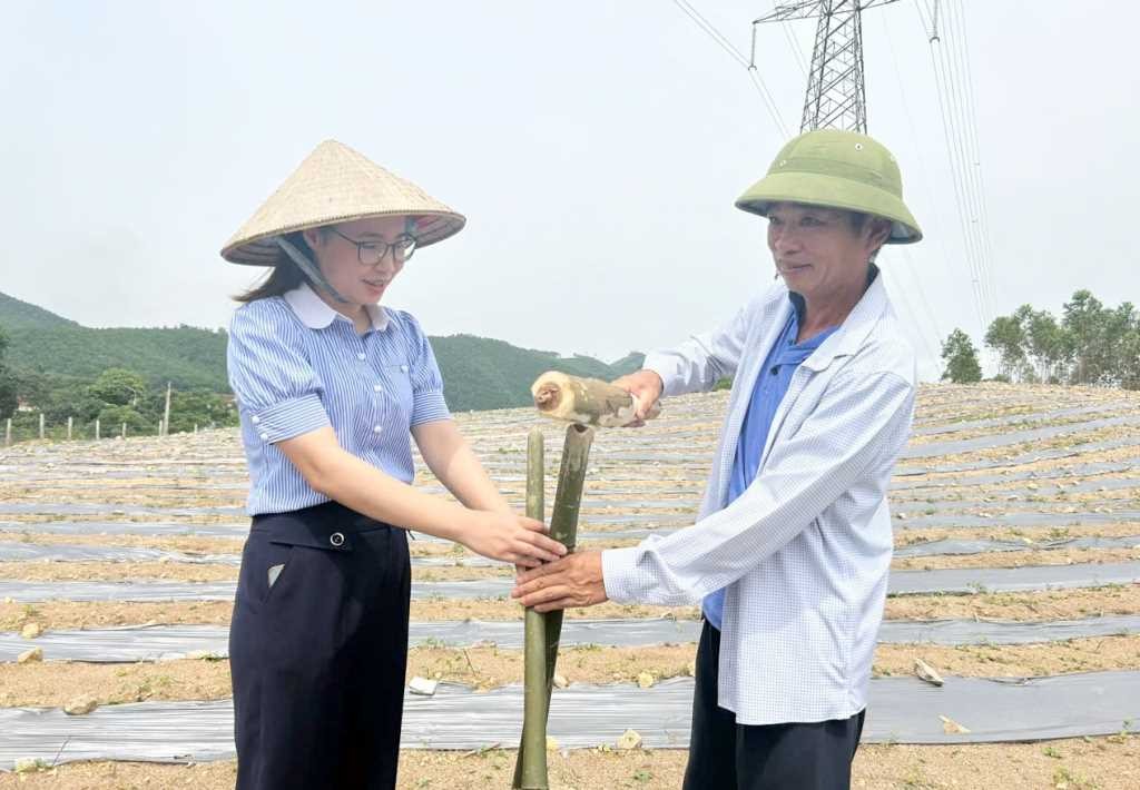Quảng Ninh: Những “cầu nối” uy tín trong đồng bào dân tộc thiểu số Quảng Ninh: Những “cầu nối” uy tín trong đồng bào dân tộc thiểu số