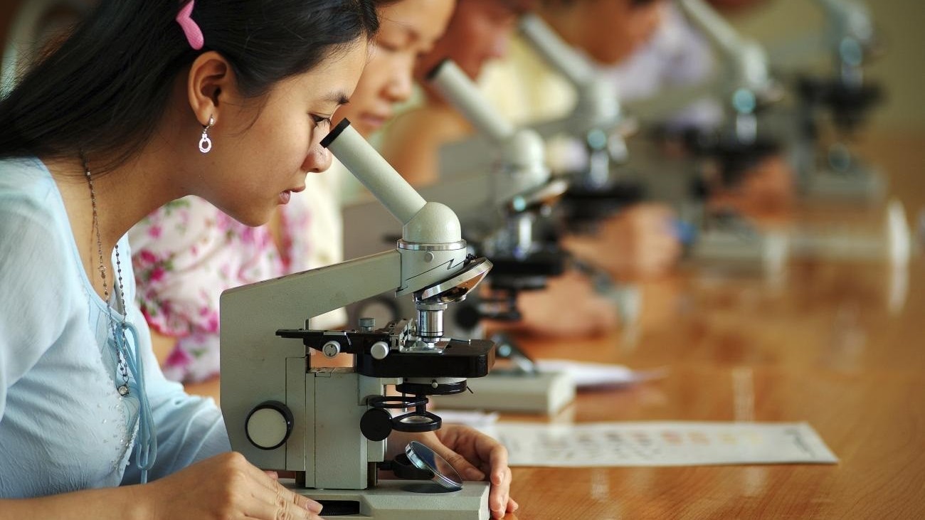 Tăng cường bình đẳng giới trong đào tạo nguồn nhân lực công nghệ số