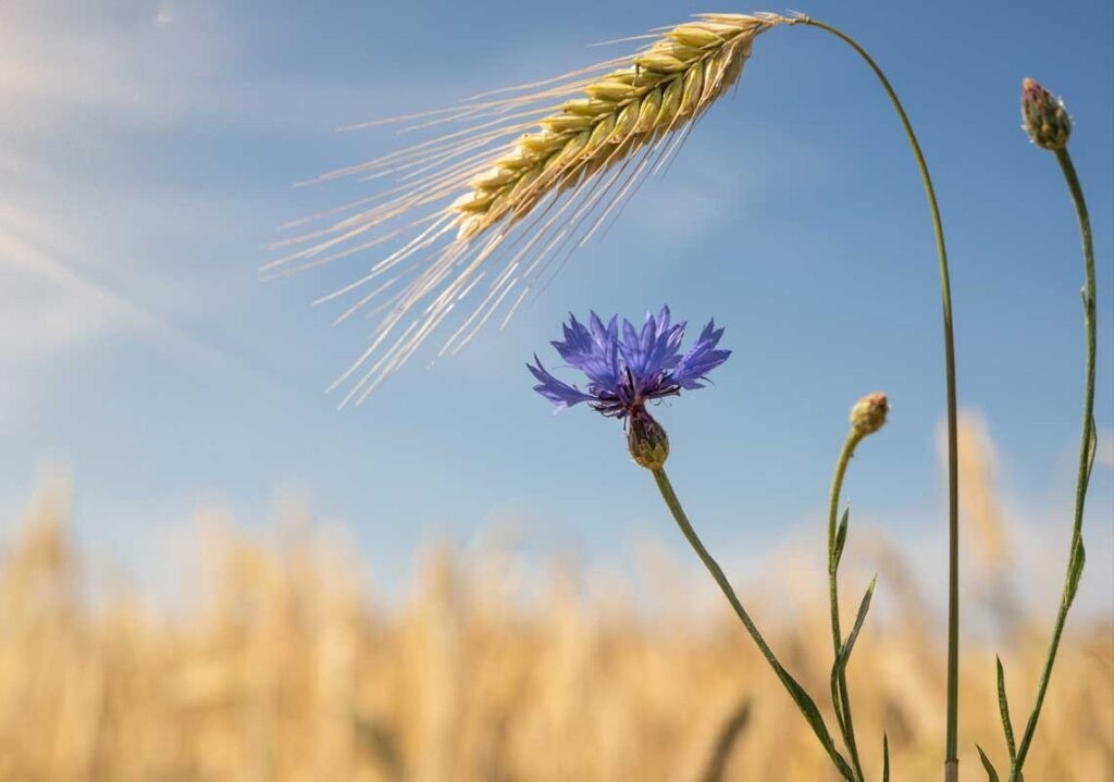 Tử vi vòng quay công nghệ ngày 12/4/2025: Tuổi Ngọ gặp quý nhân, tuổi Tý chú ý tình cảm Tử vi vòng quay công nghệ ngày 12/4/2025: Tuổi Ngọ gặp quý nhân, tuổi Tý chú ý tình cảm