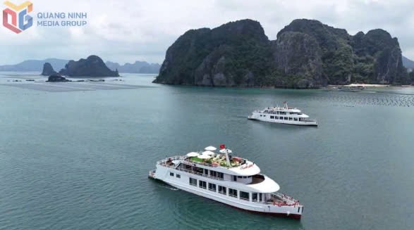 Quảng Ninh: “Đánh thức” du lịch vùng vịnh Bái Tử Long