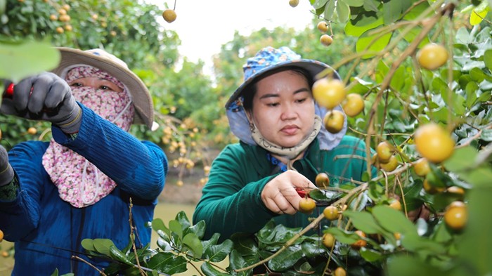 Kinh tế tư nhân – một trong những khâu đột phá phát triển nền kinh tế