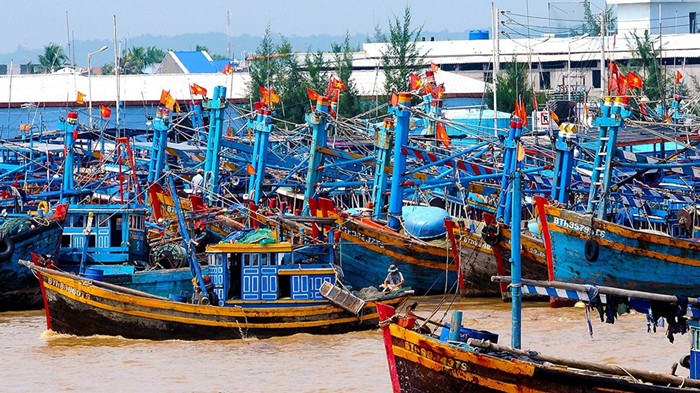 Kiên quyết xử phạt các tàu cá vi phạm ở mức cao nhất