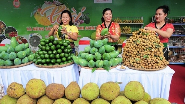 Sơn La thúc đẩy quảng bá, mở rộng thị trường tiêu thụ nông sản