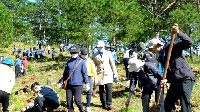 Cả nước trồng hơn 1,4 tỷ cây xanh giai đoạn 2021-2025