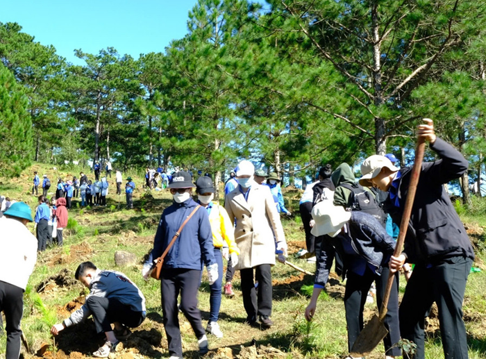 Cả nước trồng hơn 1,4 tỷ cây xanh giai đoạn 2021-2025 Cả nước trồng hơn 1,4 tỷ cây xanh giai đoạn 2021-2025