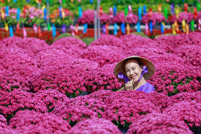 Ứng dụng công nghệ trong phát triển ngành hoa kiểng