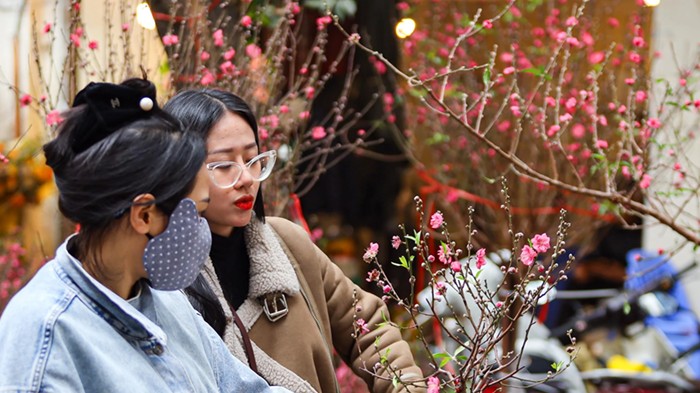 Tết Nguyên đán 2026 có thể lạnh hơn so với các năm trước