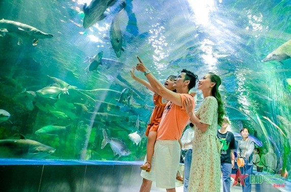 Những tác động của mặt trái kinh tế thị trường đến chức năng gia đình Việt Nam