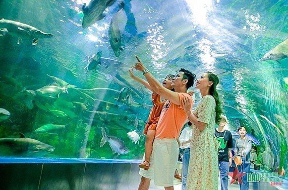 Những tác động của mặt trái kinh tế thị trường đến chức năng gia đình Việt Nam