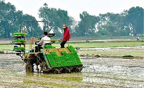 Ứng dụng cơ giới hoá, nâng cao chất lượng, hiệu quả canh tác nông nghiệp