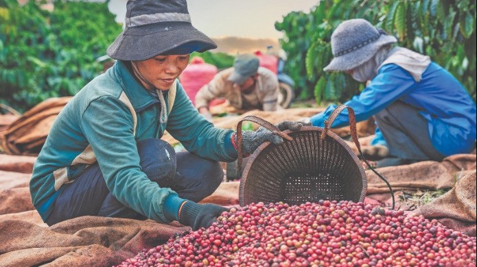 Phấn đấu tăng trưởng GDP quý I/2026 đạt khoảng 8%