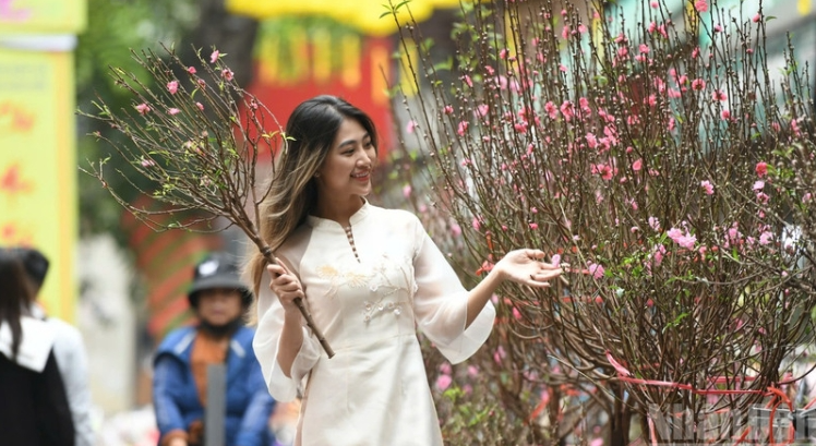 Bức tranh tươi sáng của du lịch Việt Nam năm 2026