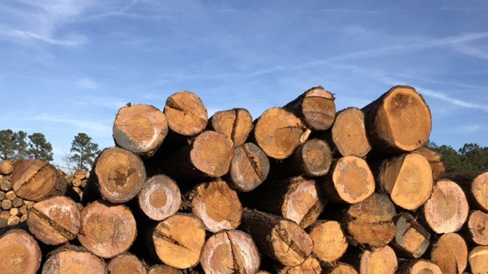 EUDR – Cơ hội và thách thức với sản phẩm gỗ Việt Nam