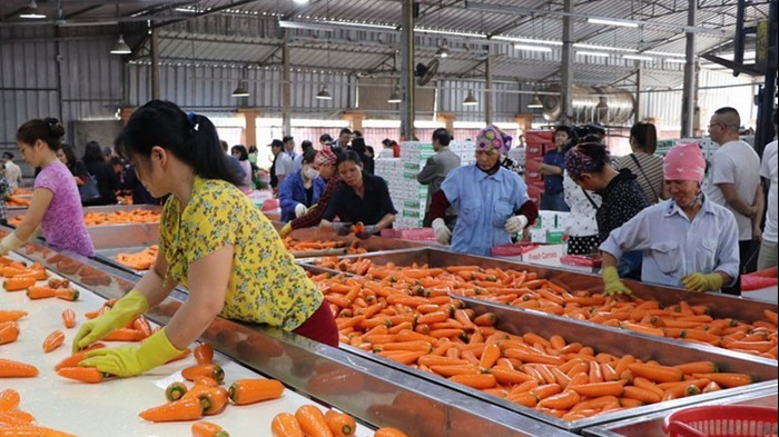 Đẩy mạnh hoạt động sản xuất kinh doanh sau kỳ nghỉ Tết Bính Ngọ 2026