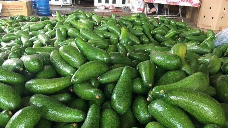 Đắk Lắk: Phát triển nông nghiệp theo hướng bền vững từ cây trồng chủ lực