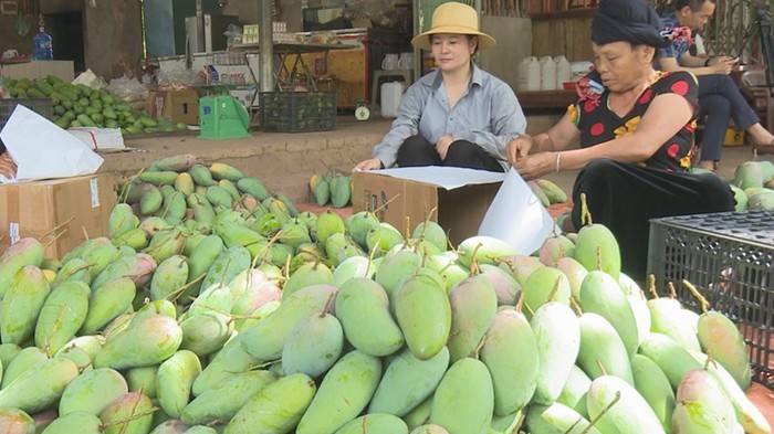 Xuất khẩu nông lâm thủy sản 3 tháng đầu năm tăng gần 6% so cùng kỳ