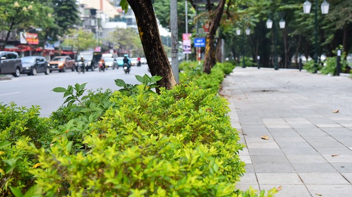 Hà Nội đặt chỉ tiêu diện tích cây xanh đô thị tối thiểu 10m2/người giai đoạn 2026-2030