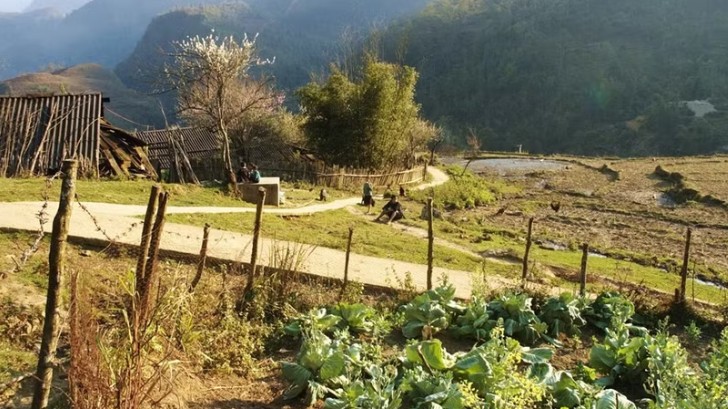 Diện mạo Điện ảnh Việt Nam 40 năm Đổi mới