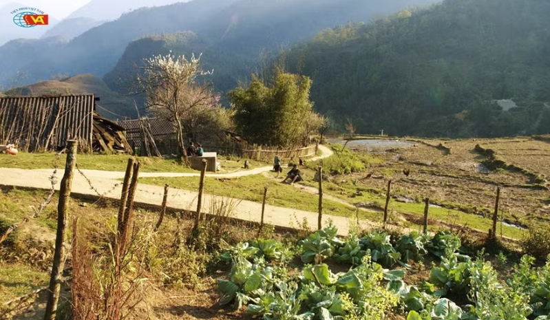 Diện mạo Điện ảnh Việt Nam 40 năm Đổi mới