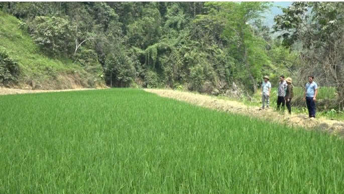 Lào Cai: Khát vọng Khe Lóng 2