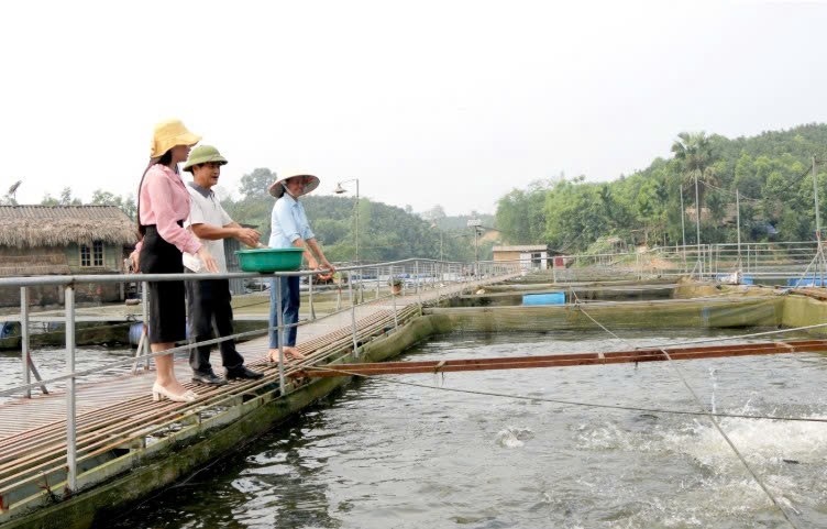 Lào Cai: Đảng viên tiên phong phát triển kinh tế ở Phúc Đình