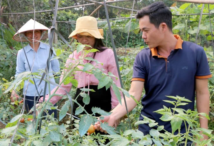 Lào Cai: Đảng viên tiên phong phát triển kinh tế ở Phúc Đình