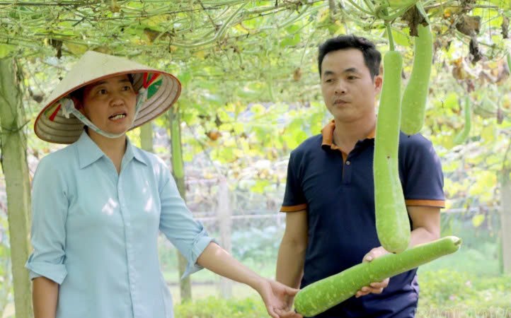 Lào Cai: Đảng viên tiên phong phát triển kinh tế ở Phúc Đình