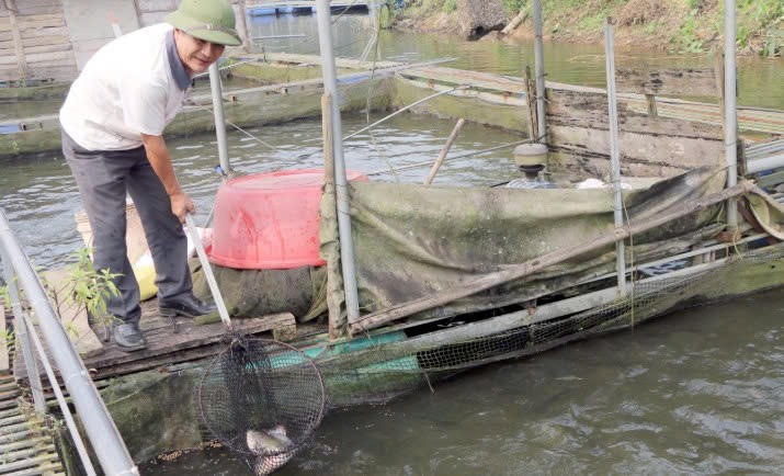 Lào Cai: Đảng viên tiên phong phát triển kinh tế ở Phúc Đình