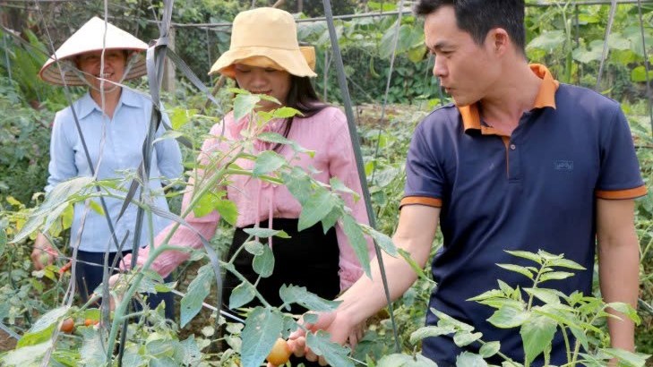 Lào Cai: Đảng viên tiên phong phát triển kinh tế ở Phúc Đình