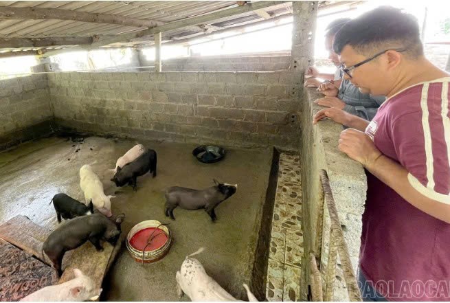 Lào Cai: Cốc San tuyên truyền Nghị quyết 21 về phát triển nông, lâm, thủy sản