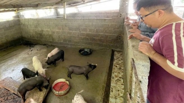 Lào Cai: Cốc San tuyên truyền Nghị quyết 21 về phát triển nông, lâm, thủy sản